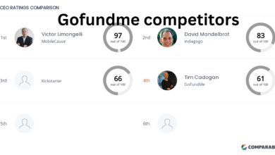 Gofundme competitors