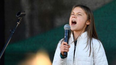 Greta thunberg net worth