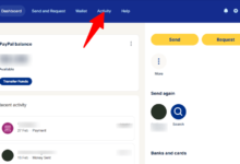 Paypal login activity