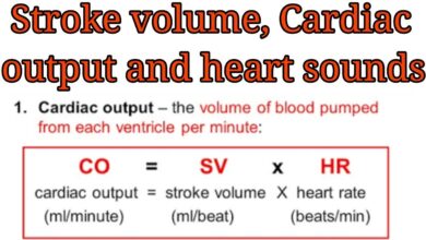 Stroke volume equation