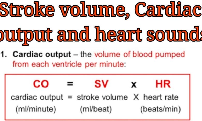 Stroke volume equation