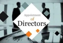 Understanding Director Appointment in Different Jurisdictions A Global Comparison